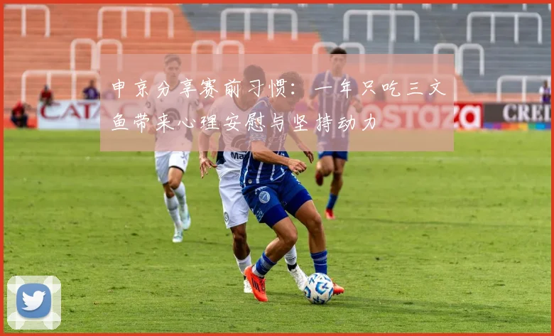 申京分享赛前习惯：一年只吃三文鱼带来心理安慰与坚持动力